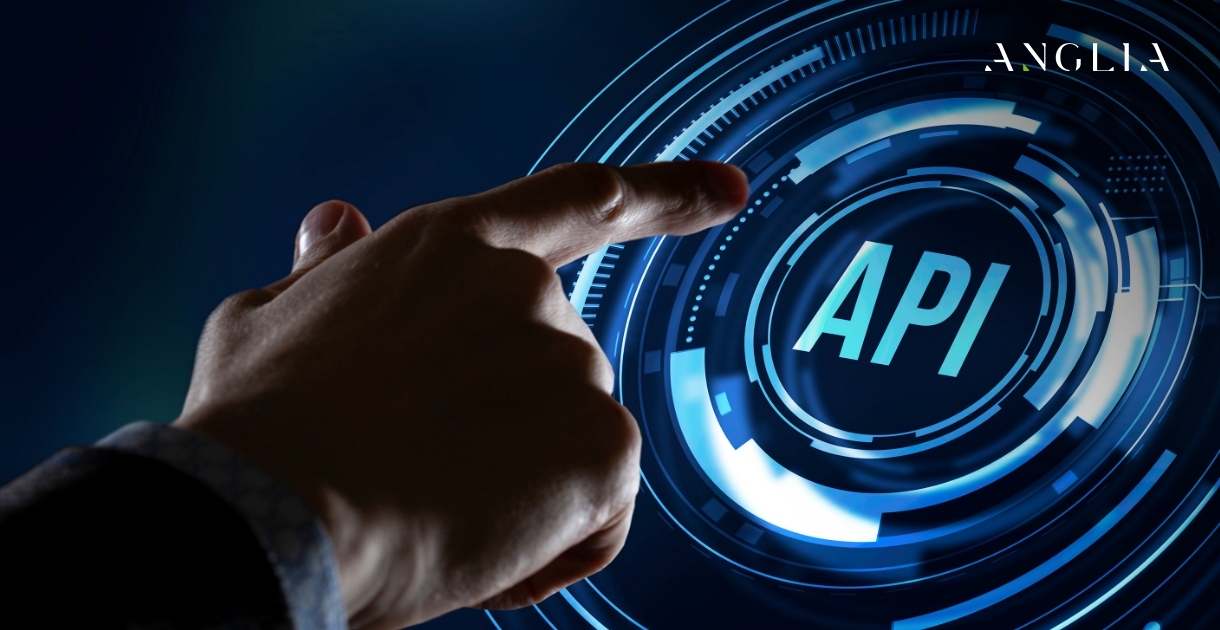 What is an API? A Business Owner’s Guide to Connecting the Digital Dots.